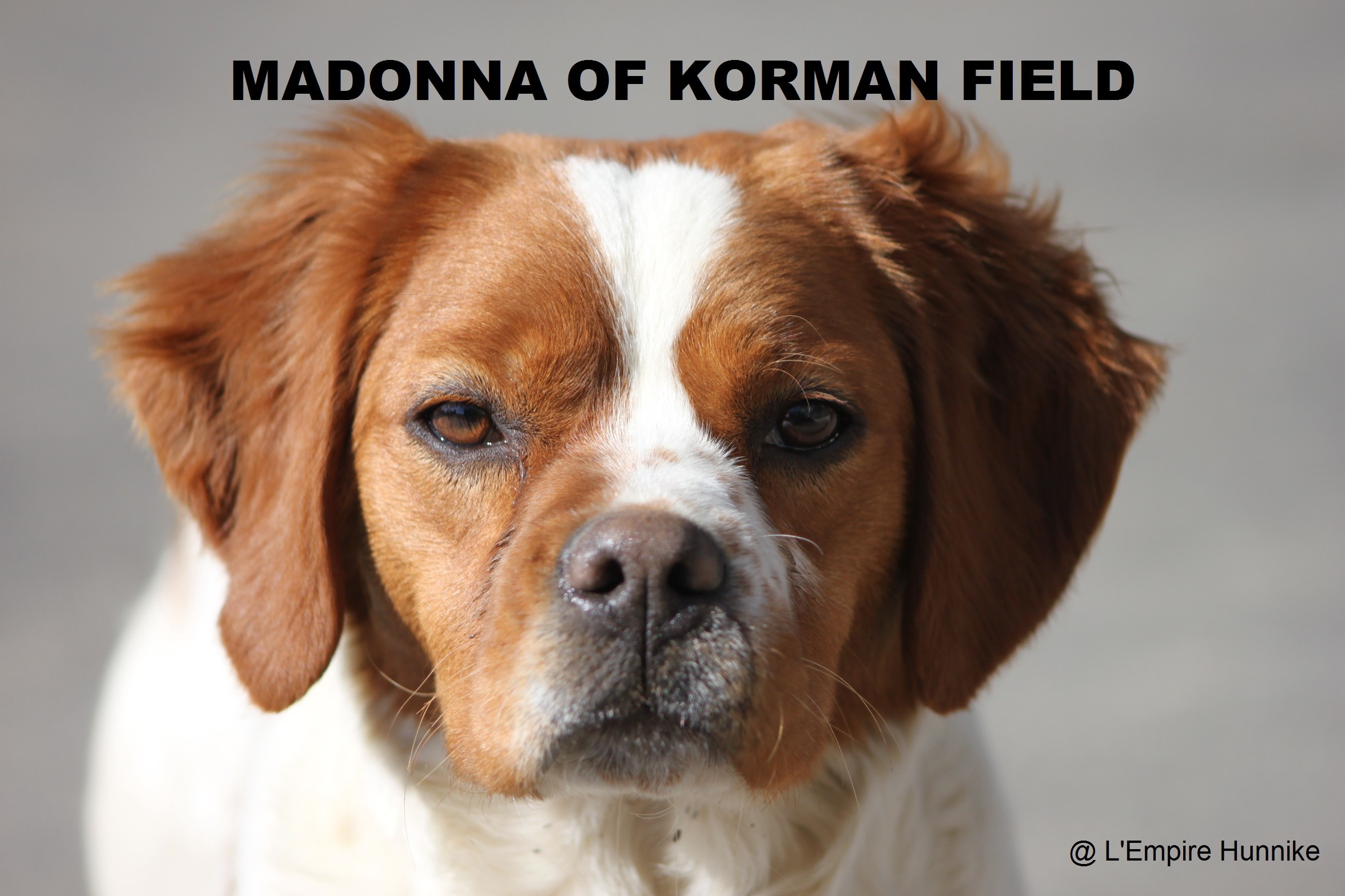 Madona of korman field