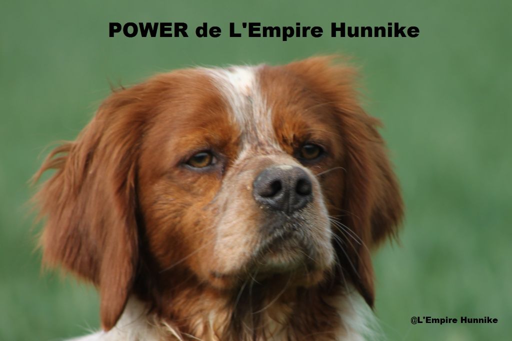 TR. Power de l'Empire Hunnike