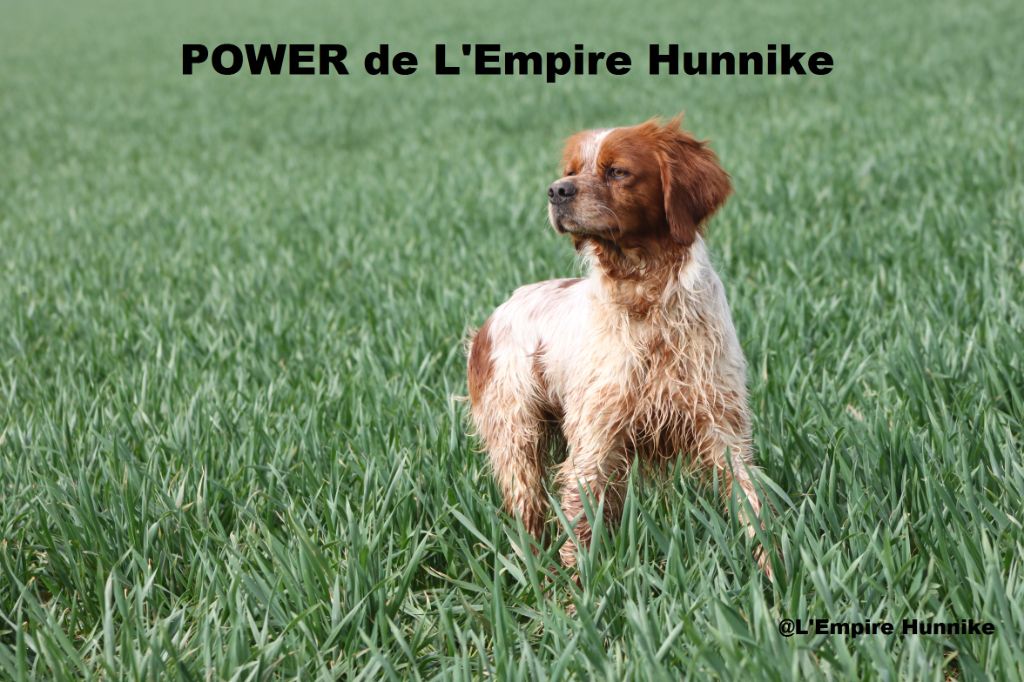 TR. Power de l'Empire Hunnike